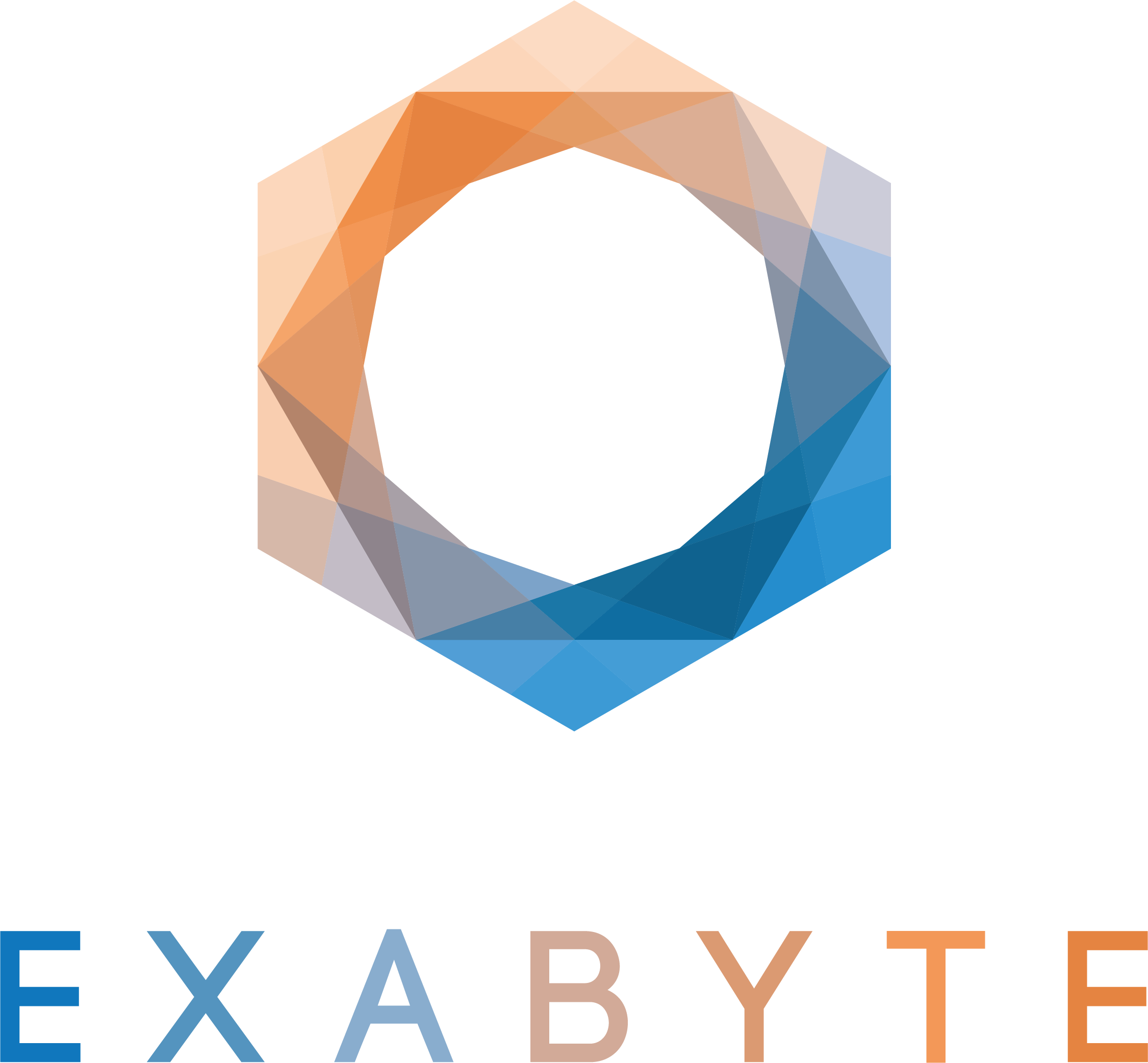 EXABYTE SRL